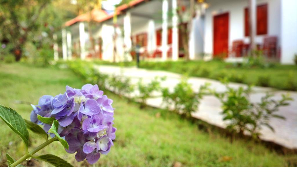 Highland Bungalow Που Κουόκ Εξωτερικό φωτογραφία